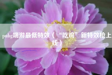 pubg端游最低特效（“吃鸡”新特效枪上线）