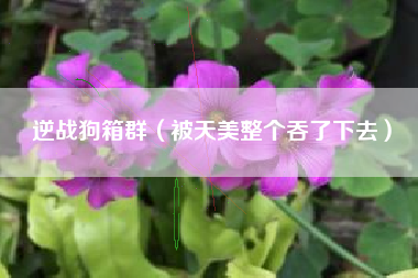 逆战狗箱群（被天美整个吞了下去）
