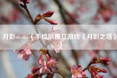 月影steam（手绘风独立游戏《月影之塔》）