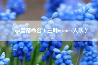 csgo皇帝命名（三叶mistuha入队）