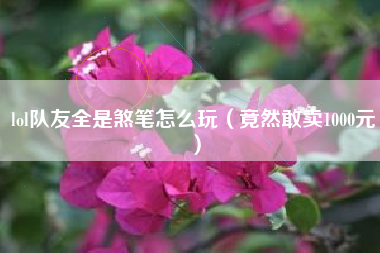 lol队友全是煞笔怎么玩（竟然敢卖1000元）