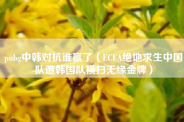 pubg中韩对抗谁赢了（ECEA绝地求生中国队遭韩国队横扫无缘金牌）