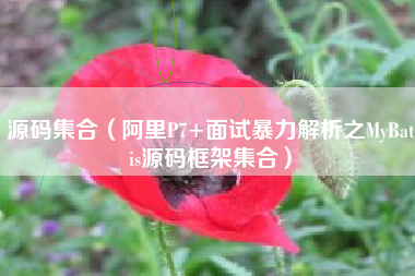 源码集合（阿里P7+面试暴力解析之MyBatis源码框架集合）