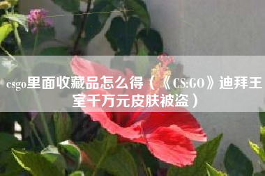 csgo里面收藏品怎么得（《CS:GO》迪拜王室千万元皮肤被盗）