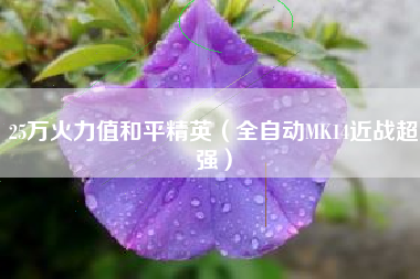 25万火力值和平精英（全自动MK14近战超强）