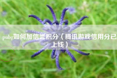 pubg如何加信誉积分（腾讯游戏信用分已上线）