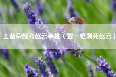 王者荣耀和赵云单挑（要一枪刺死赵云）
