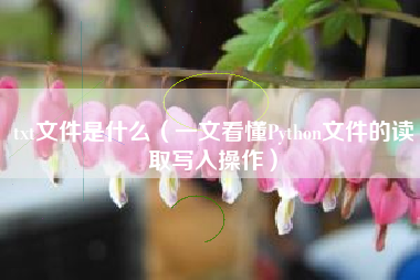 txt文件是什么（一文看懂Python文件的读取写入操作）
