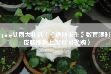 pubg女团大礼包（《绝地求生》数套限时皮肤即将上架:BP可换购）