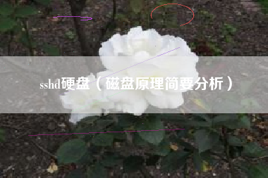 sshd硬盘（磁盘原理简要分析）