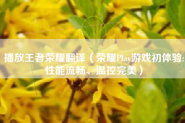 播放王者荣耀翻译（荣耀Play游戏初体验:性能流畅、温控完美）
