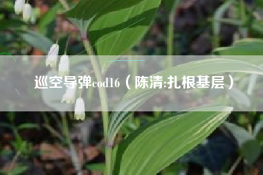 巡空导弹cod16（陈清:扎根基层）