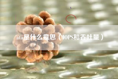 ata是什么意思（IOPS和吞吐量）