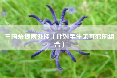 三国杀银两外挂（让对手生无可恋的组合）