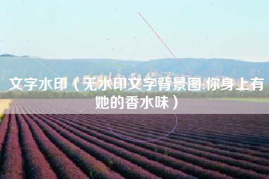 文字水印（无水印文字背景图:你身上有她的香水味）