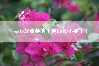 cod16灰蒙蒙的（连KD都不要了）