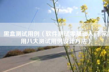 黑盒测试用例（软件测试零基础入门:常用八大测试用例设计方法）