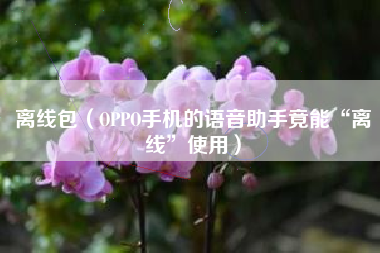 离线包（OPPO手机的语音助手竟能“离线”使用）