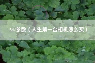 5d2参数（人生第一台相机怎么买）