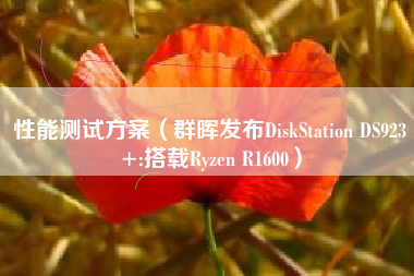 性能测试方案（群晖发布DiskStation DS923+:搭载Ryzen R1600）