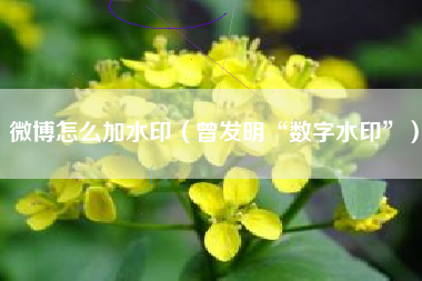 微博怎么加水印（曾发明“数字水印”）