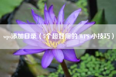 wps添加目录（5个超好用的 WPS 小技巧）