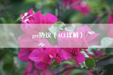 gre协议（ACL详解）