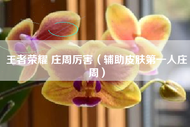 王者荣耀 庄周厉害（辅助皮肤第一人庄周）