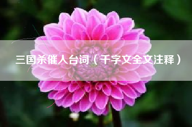 三国杀催人台词（千字文全文注释）