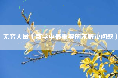 无穷大量（数学中最重要的未解决问题）