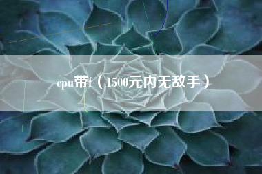 cpu带f（1500元内无敌手）