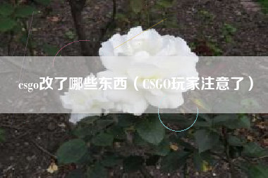 csgo改了哪些东西（CSGO玩家注意了）