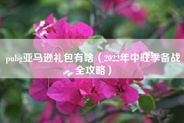 pubg亚马逊礼包有啥（2022年中旺季备战全攻略）