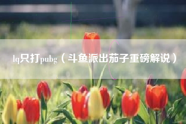 lq只打pubg（斗鱼派出茄子重磅解说）