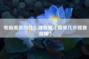 电脑黑屏按什么键恢复（简单几步排查故障）