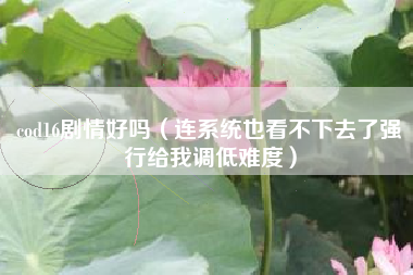 cod16剧情好吗（连系统也看不下去了强行给我调低难度）