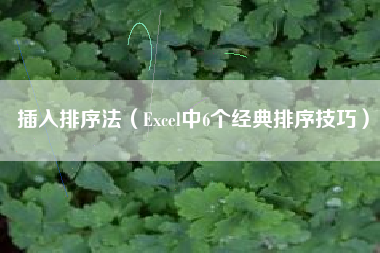 插入排序法（Excel中6个经典排序技巧）