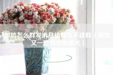 微信怎么群发消息给好友不建群（微信又一隐藏功能曝光）