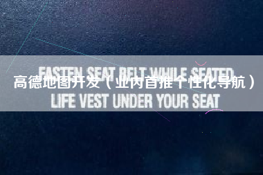 高德地图开发（业内首推个性化导航）