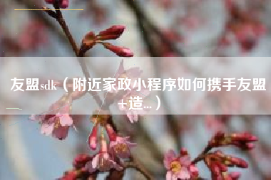 友盟sdk（附近家政小程序如何携手友盟+造...）