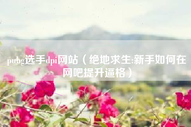 pubg选手dpi网站（绝地求生:新手如何在网吧提升逼格）