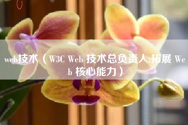 web技术（W3C Web 技术总负责人:拓展 Web 核心能力）