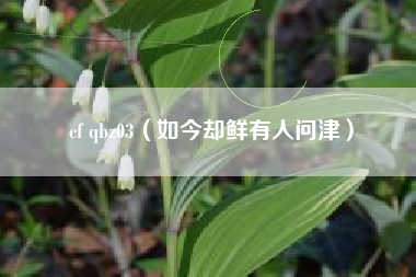 cf qbz03（如今却鲜有人问津）