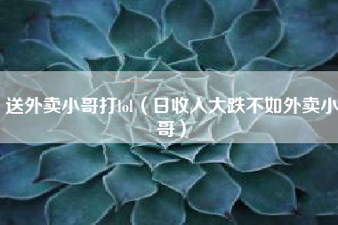 送外卖小哥打lol（日收入大跌不如外卖小哥）