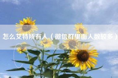 怎么艾特所有人（微信群里面人数较多）