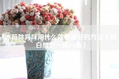 冰箱除异味用什么效果最好的方法（用白醋泡一碗八角）