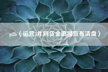 p2b（运营5年网贷金银猫宣布清盘）