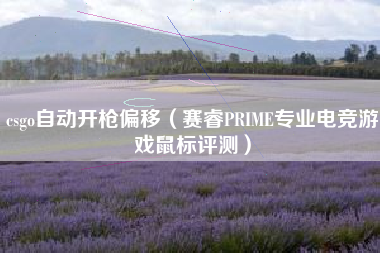 csgo自动开枪偏移（赛睿PRIME专业电竞游戏鼠标评测）