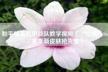 和平精英机甲战队教学视频（“吃鸡”SS17赛季新皮肤抢先看）