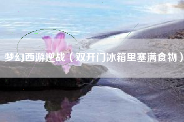 梦幻西游逆战（双开门冰箱里塞满食物）